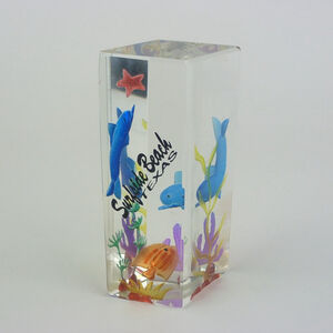 Buccee's Holographic Laser Etched Art Glass Dolphin Surfside Beach Texas Paperwe